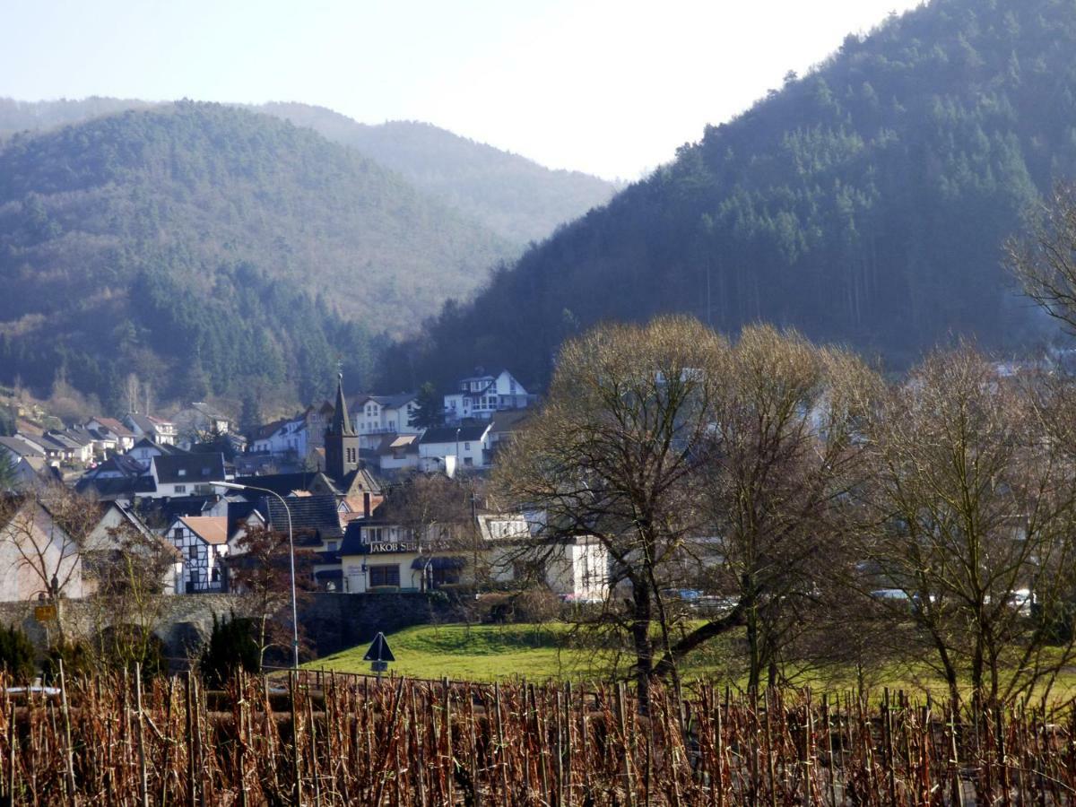 Relaxen Im Alten Winzerhaus Fewo Eg Rech Eksteriør billede